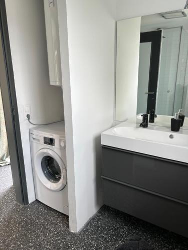 a bathroom with a washing machine and a mirror at Ferienhaus am Wildbach in Ferlach