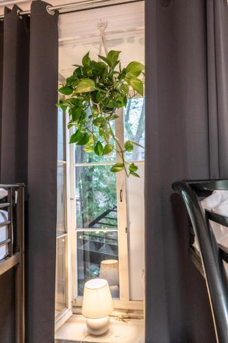 a plant in front of a window with a lamp at Auberge de la Paix in Quebec City