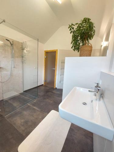 Salle de bains dans l'établissement Lovely house with mountain view & big garden in Bad Aussee