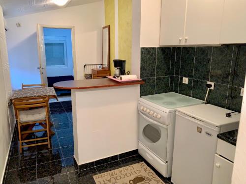 eine Küche mit einer Theke und einer Waschmaschine in der Unterkunft Sanja apartment in Prčanj