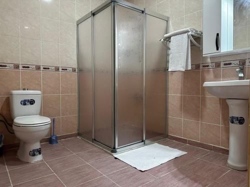 een badkamer met een douche, een toilet en een wastafel bij NUS GRAND HOTEL 