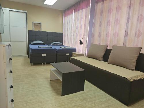 a hospital room with two beds and a couch at LENI apartman u centru Zajecara in Zaječar