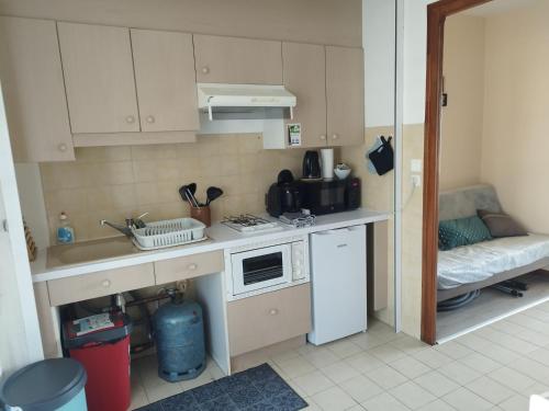 une petite cuisine avec un évier et un micro-ondes dans l'établissement Studio avec belle vue proche du lac Genin Echallon, à Echallon