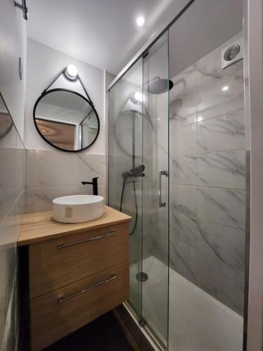 une salle de bain avec une douche avec un lavabo et un miroir dans l'établissement Charment studio proche Paris 15, à Malakoff