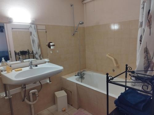 une salle de bain avec un lavabo et une baignoire dans l'établissement Studio avec belle vue proche du lac Genin Echallon, à Echallon