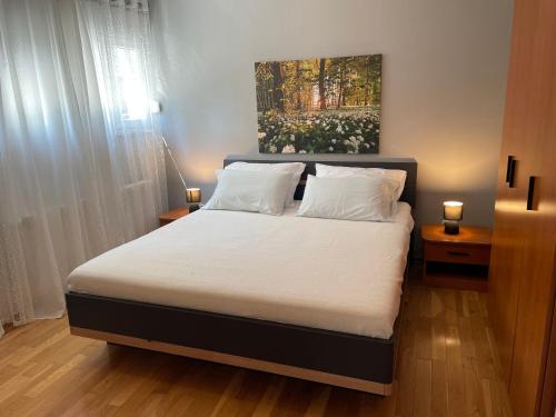 a bedroom with a bed with a painting on the wall at Ana's apartments in Petrcane