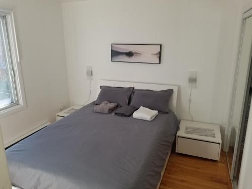 een slaapkamer met een groot bed met 2 kussens bij Confort in Montreal