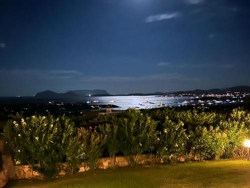 Φωτογραφία από το άλμπουμ του Residenza Grazia sul mare σε Abbiadori