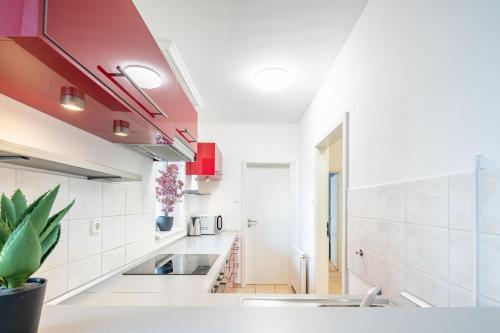 cocina con paredes blancas y techo rojo en Two bedrooms apartment with free garage in the downtown, en Budapest