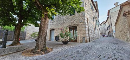 une rue pavée avec un arbre et un bâtiment dans l'établissement La casa di Francesco, à Sassoferrato