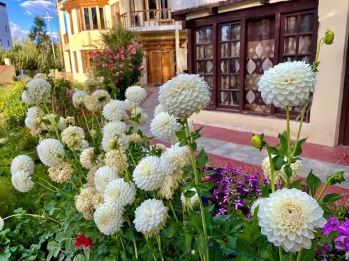 Zaltak Guest House and Hostelにある庭