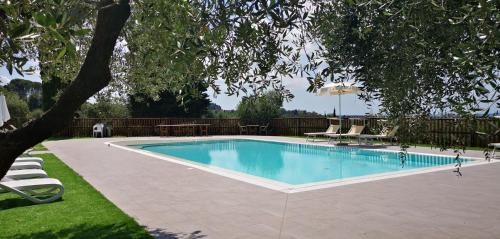 a swimming pool in a yard with chairs and a tree at Agriturismo Cascina Cipressa in San Romano