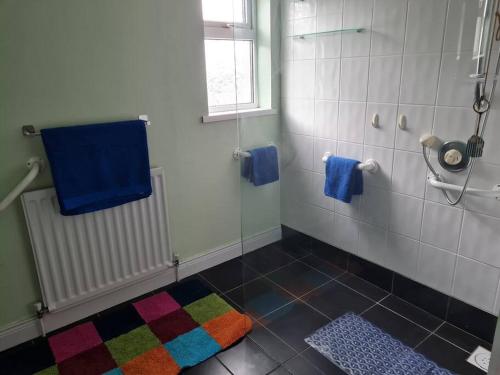 a bathroom with a shower and a colorful rug at Ballintoy house with great sea views in Ballintoy
