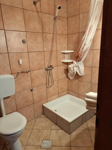 a bathroom with a shower with a toilet and a tub at Apartments Sabol Geist in Borovići