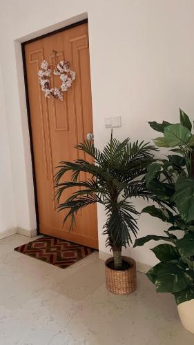 a plant in a basket in front of a door at Garden Suite in Bolzano