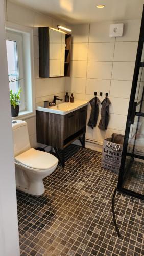 a bathroom with a toilet and a sink at Tift bossgård in Linköping