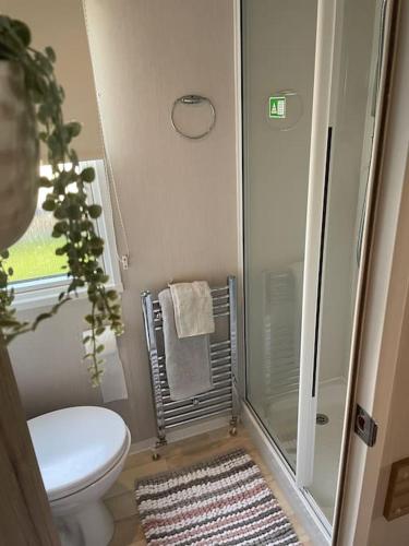 a bathroom with a shower and a toilet and a rug at 2 bedroom (sleeps 6) caravan to rent in allonby in Maryport