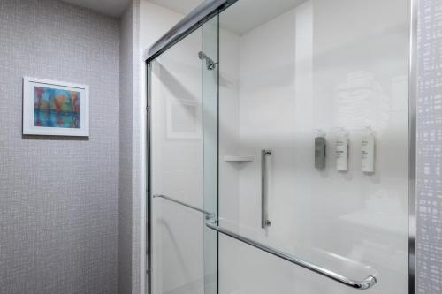 y baño con ducha y puerta de cristal. en Hampton Inn Columbus Downtown, Ga en Columbus