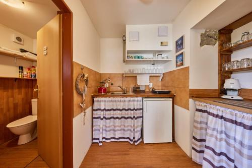 una piccola cucina con lavandino e WC di Chalupa v Jizerkach a Albrechtice v Jizerských horách