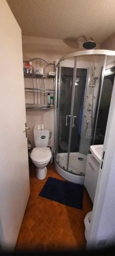 une salle de bain avec toilettes, douche et lavabo dans l'établissement LE BARCARES 50M PLAGE, au Barcarès