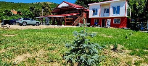 a christmas tree in a yard in front of a house at Casa Legrand in Baziaş