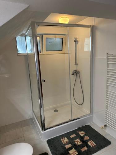 a shower with a glass door in a bathroom at Casa Portocalie in Cisnădie