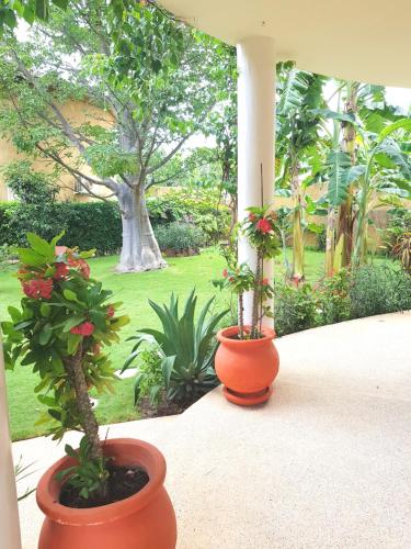 Zahrada ubytování Villa Type Africaine