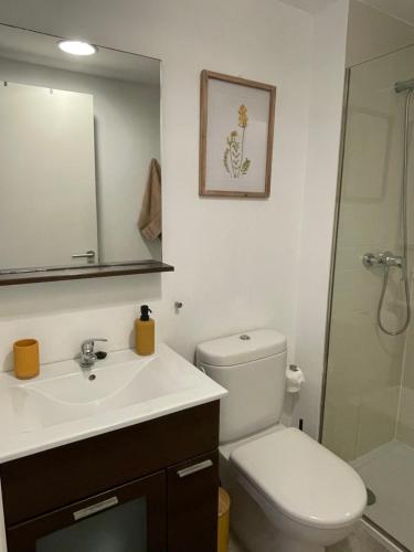 薩卡雷達的住宿－Can Vicent.- Apartamento a pie de Piscina，浴室配有卫生间、盥洗盆和淋浴。