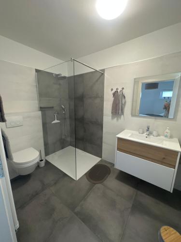 un bagno con doccia, WC e lavandino di Anita’s Urlaubsplatzl a Weitra