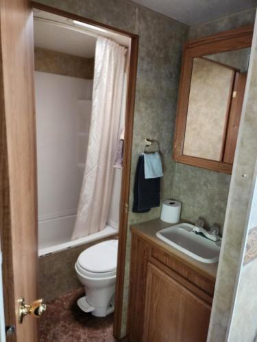 a bathroom with a toilet and a sink and a mirror at Noah's Ark Campground in Revelstoke
