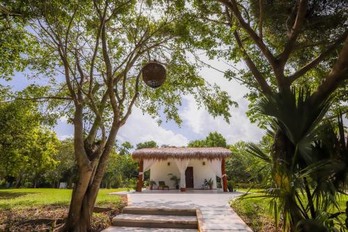 a small white building with a thatched roof in a park at Mayan Secret Hotel Boutique in Chetumal