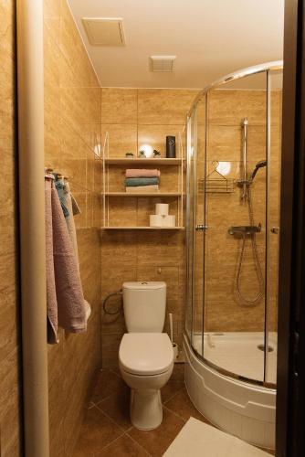 a small bathroom with a toilet and a shower at Flathouse Apartment 2 Centrum in Białystok