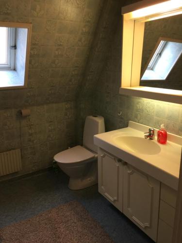 ein Badezimmer mit einem WC, einem Waschbecken und einem Spiegel in der Unterkunft Mark Villan in Örebro