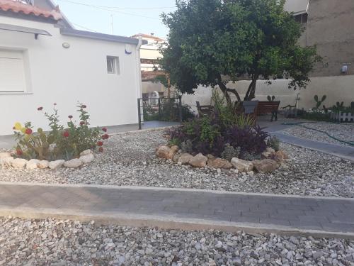 a garden with two plants and a tree and a bench at Michael's Greek House in Argos