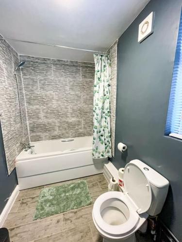 a bathroom with a toilet and a bath tub at Perfect for Contractors! Free Central Parking! in Birmingham