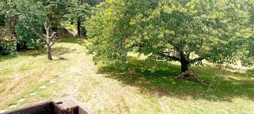 una vista aérea de un árbol con un columpio en Chambre double à la campagne chez l'habitant, en Cadeillan