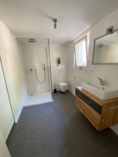 a bathroom with a shower and a sink and a toilet at Ferienwohnung Felina in Passau