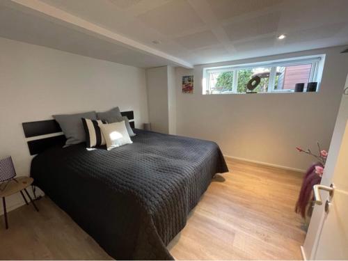 En eller flere senge i et værelse på Nyistandsat højloftet kælderlejlighed på 70 m2 i Viborg centrum, med plads til 4 personer