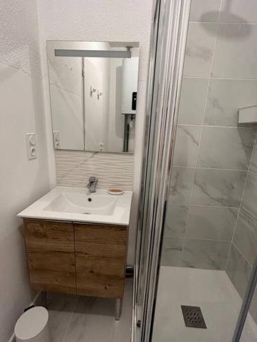 a bathroom with a sink and a shower at Au Cœur de Toulouse - Carmes in Toulouse