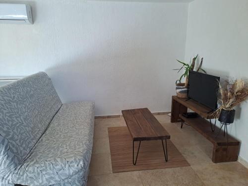 a living room with a couch and a table at Bas de villa au chant des cigales in Lorgues