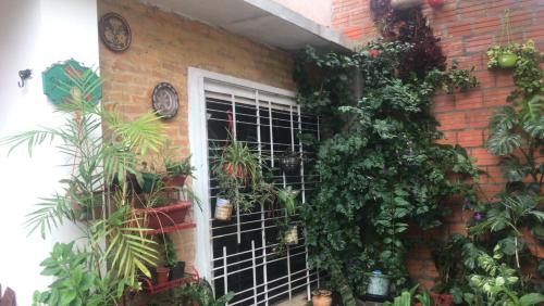 ein Backsteinhaus mit Pflanzen und einem Fenster in der Unterkunft La Petite Maison in Asunción