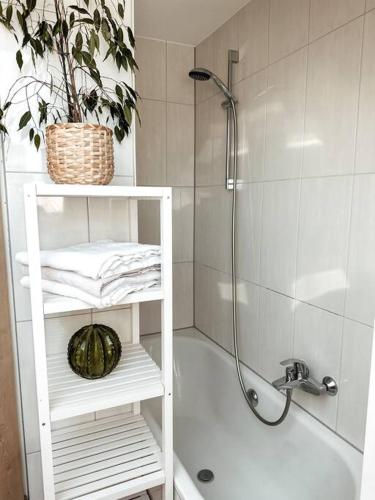 a bathroom with a shower and a white bath tub at Stilvolle Wohnung im Allgäu in Kempten