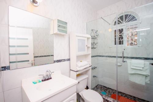 a bathroom with a sink and a toilet and a shower at Ocho Rios Ocean View Sleeps1-2 in Ocho Rios