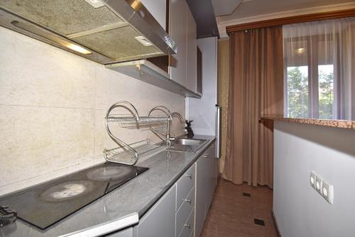 a kitchen with a sink and a counter top at Armenak Apartment 5-комнатная in Yerevan