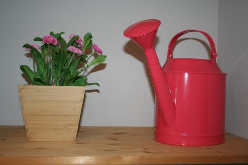 a red watering can sitting next to a plant at Appartamenti Urbevetus in Orvieto
