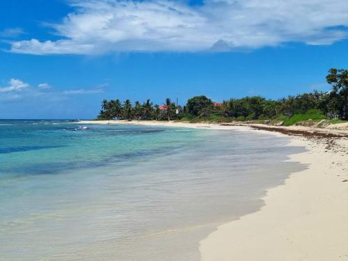ein Sandstrand mit dem Meer und Bäumen im Hintergrund in der Unterkunft Villa Matouba in Saint-François