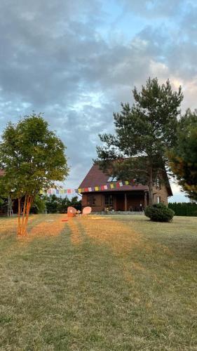 a house in a field with two trees in front of it at Dom z Widokiem w Rajgrodzie in Rajgród
