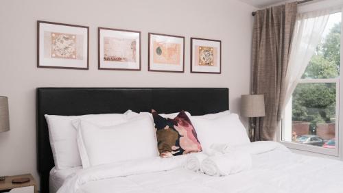 a bedroom with a bed with a dog laying on it at King Bed & Fenced Yard - Floyd's Freedom- in Alexandria