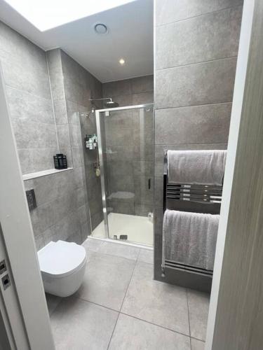 a bathroom with a shower and a toilet and a sink at Stunning Luxury in Central Alderley Edge in Alderley Edge