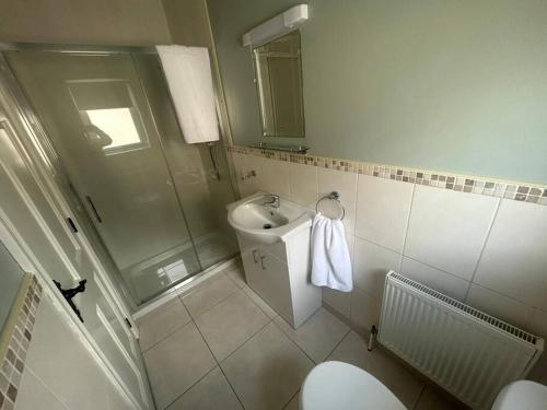 a bathroom with a toilet and a shower and a sink at Lily’s Town House in Buncrana